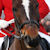 :iconzoo1bee: