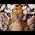 :iconzooexpert: