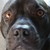 Zoomer666 :iconzoomer666: