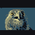 zoominandoutplz :iconzoominandoutplz: