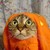 :iconzoomonkees: