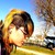:iconzoooowhaaa: