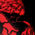 :iconzootfruit: