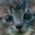 :iconzoroak123: