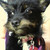 :iconzoroarkmaster121: