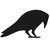 :iconzorro-7: