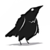 :iconzosi4: