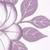 :iconzosma905: