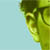 :iconzotakito: