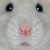 :iconzoundz: