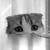 :iconzplp: