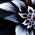 :iconzrd1166: