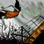 :iconzroprcntinterest10: