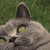 :iconzse04:
