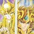:iconzsuzsa-13-ribs: