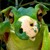 :iconzugno62: