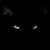 :iconzuijin: