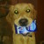 :iconzukoflyp360: