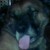 :iconzuria1995: