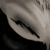 :iconzurina-takahashi: