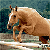 :iconzurito-stock: