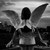 :iconzuziamat8: