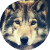 :iconzuzkab: