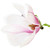 :iconzwekke2: