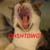 :iconzxseph: