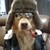 zxxlionheartxxz :iconzxxlionheartxxz: