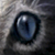 :iconzyanc: