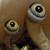 :iconzyrvis: