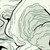 :iconzyuruchan: