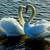 :iconzz2903:
