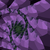 :iconzzelabusya:
