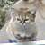 :iconzzoe14: