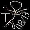 0813Tribals's avatar