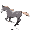 0-Fern-0's avatar