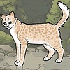 0lolocat0's avatar