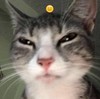 0sapala0's avatar
