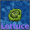 0xLettuce's avatar