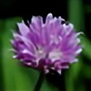 24flowers's avatar