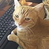 2838Beaver's avatar
