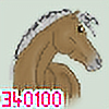 340100's avatar