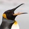 3dsmoonwii's avatar