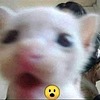 3smyta's avatar