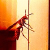 4mberhead22375's avatar