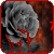 7Bloody-Black-Roses's avatar