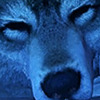 A-Grey-Wolf's avatar