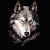 A-Wolf-Named-Lynx's avatar